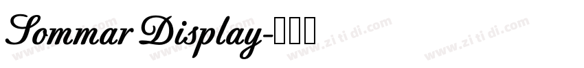 Sommar Display字体转换